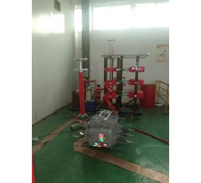 Impulse voltage generator